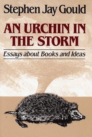 Urchin in the Storm