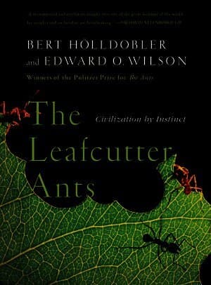 Leafcutter Ants