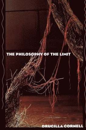 Philosophy of the Limit