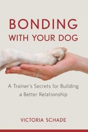Bonding with Your Dog