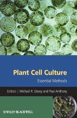 Plant Cell Culture