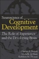 Neuroscience of Cognitive Development
