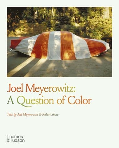 Joel Meyerowitz best book