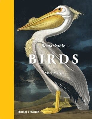 Remarkable Birds