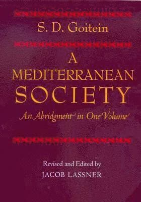 Mediterranean Society, An Abridgment in One Volume