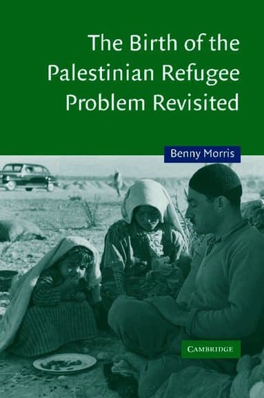 The Birth of the Palestinian Refugee Problem Revisited