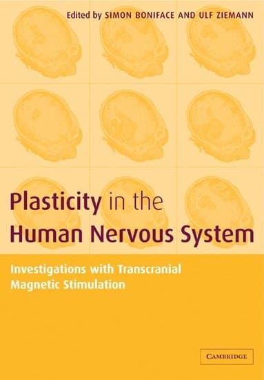 Plasticity in the Human Nervous System