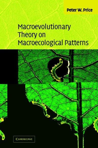 Macroevolutionary Theory on Macroecological Patterns
