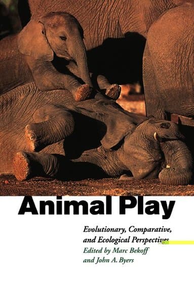 Animal Play