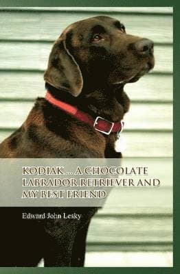 Kodiak ... A Chocolate Labrador Retriever and My Best Friend