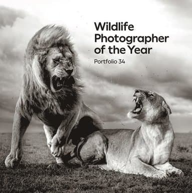 Wildlife Photographer of the Year: Portfolio 34