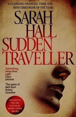 Sudden Traveller