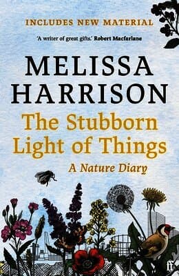 Stubborn Light of Things