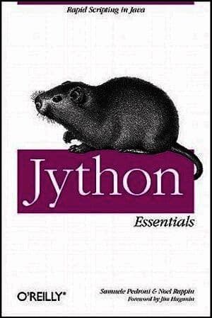 Noel Rappin best book