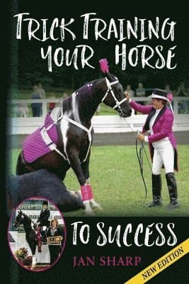Trick Training Your Horse To Success