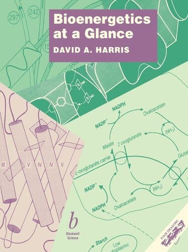 Bioenergetics at a Glance