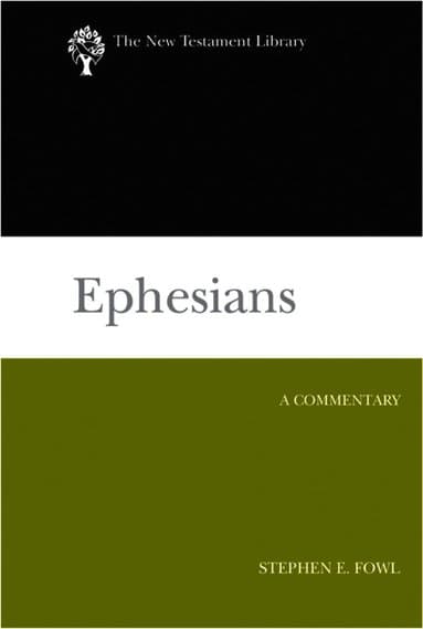 Stephen E Fowl best book