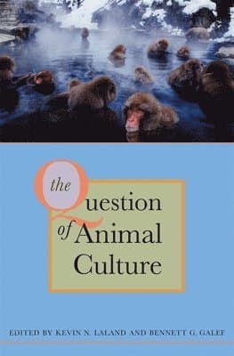 Question of Animal Culture