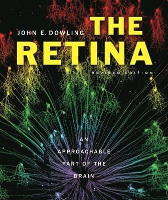 Retina