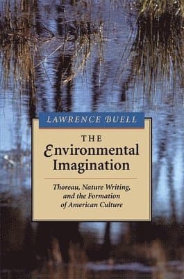 Environmental Imagination