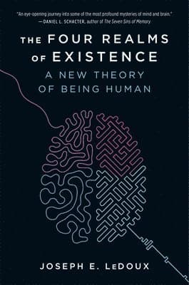 The Four Realms of Existence