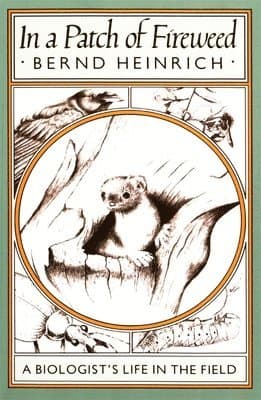 In a Patch of Fireweed