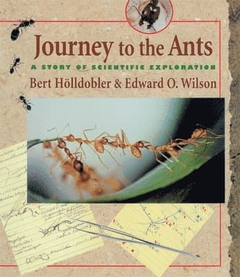 Journey to the Ants