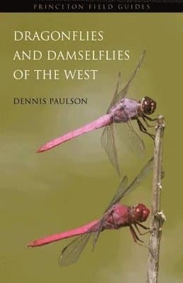 Dennis Paulson best book