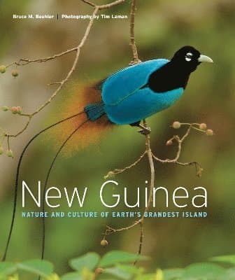 New Guinea