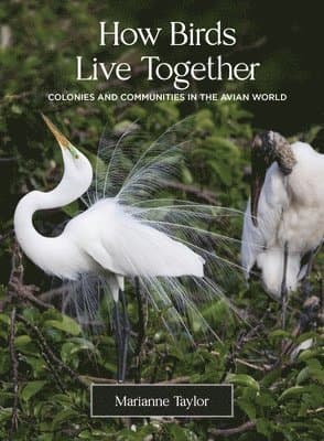 How Birds Live Together