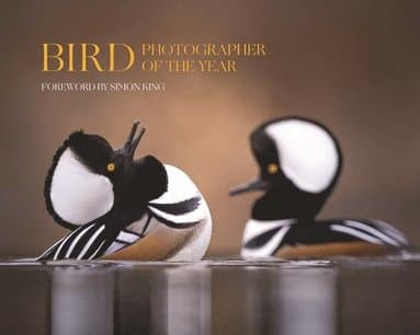 Bird Photographer of the Year