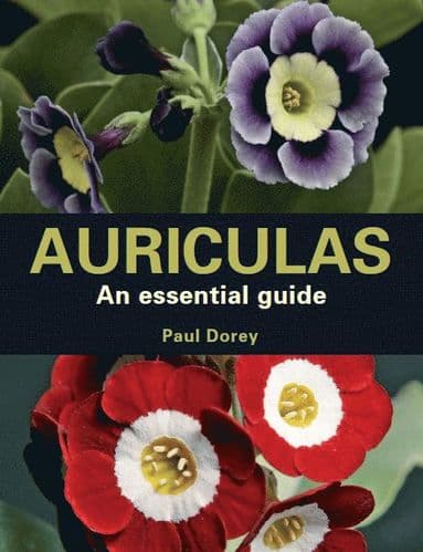 Auriculas