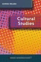 Cultural Studies