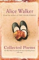 Alice Walker best book