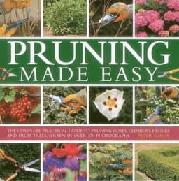 Pruning Made Easy