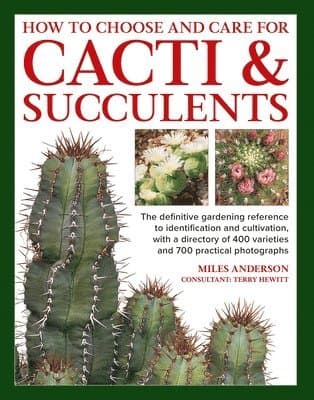 Cacti & Succulents, How to Choose and Care for