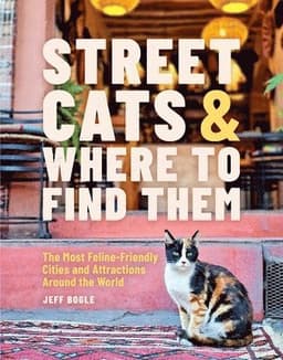 Street Cats & Where to Find Them