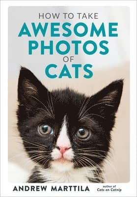 How to Take Awesome Photos of Cats