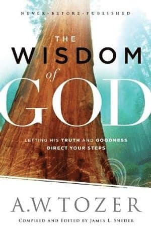 Wisdom of God - Letting His Truth and Goodness Direct Your Steps