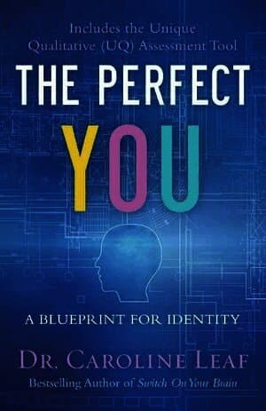 Perfect You - A Blueprint for Identity