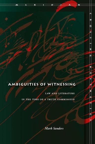 Ambiguities of Witnessing