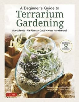 Beginner's Guide to Terrarium Gardening