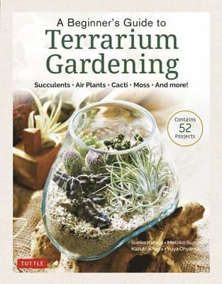 Beginner's Guide to Terrarium Gardening