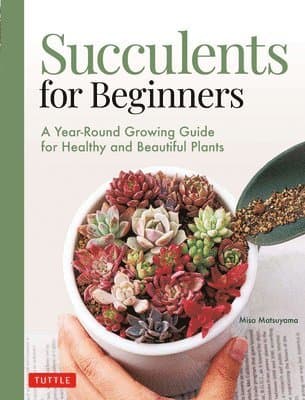 Succulents for Beginners