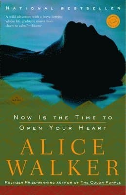 Now Is the Time to Open Your Heart: Now Is the Time to Open Your Heart: A Novel