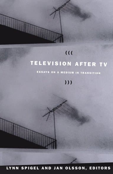 Television After TV