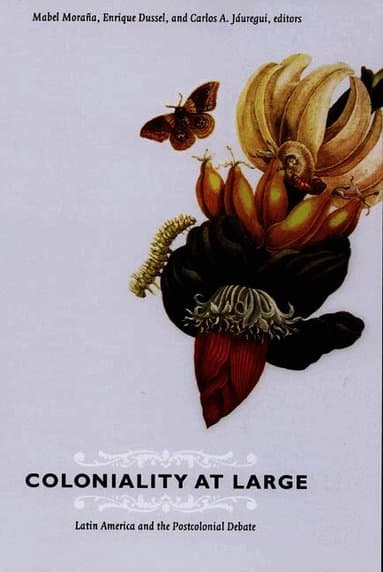 Coloniality at Large