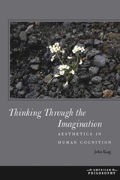 Thinking Through the Imagination
