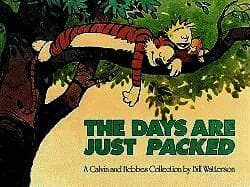 The Days Are Just Packed: A Calvin and Hobbes Collection Volume 9