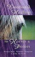 Emotional Healing For Horses & Ponies